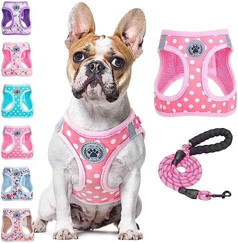 BEAUTYZOO Dog Harness Medium Sized and Leash Set, No Pull Pet Vest by BEAUTYZOO