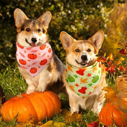 Preboun 50 Pcs Fall Thanksgiving Dog Bandanas Bulk, Pumpkin & Maple Leaves - Image 4