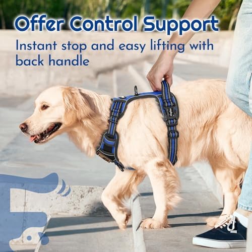 Eagloo Dog Harness No Pull for Small Dogs, Easy On & Off - Image 5