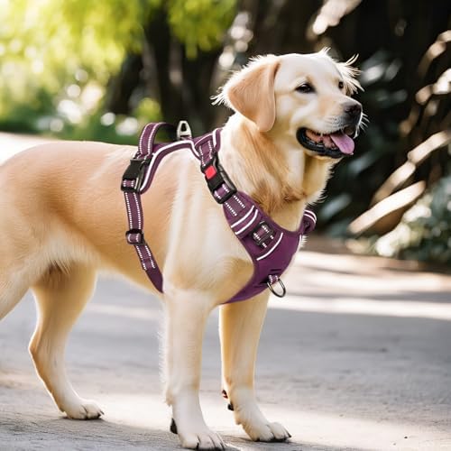 Timos Dog Harness Large Sized, Quick Release Buckles - Image 6