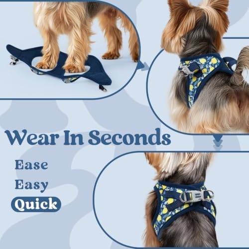 rabbitgoo Step-in Small Dog Harness, Puppy Vest - Image 6