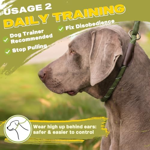 Fida Durable Slip Lead Dog Leash, 4 FT x 1/2" Dog Training Leash - Image 5