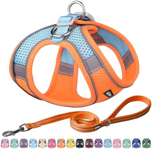 AIITLE Medium Dog Harness and Leash Set, Step-in Puppy Pet Vest by AIITLE-FORPETSBETTERLIFE