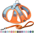 AIITLE Medium Dog Harness and Leash Set, Step-in Puppy Pet Vest by AIITLE-FORPETSBETTERLIFE