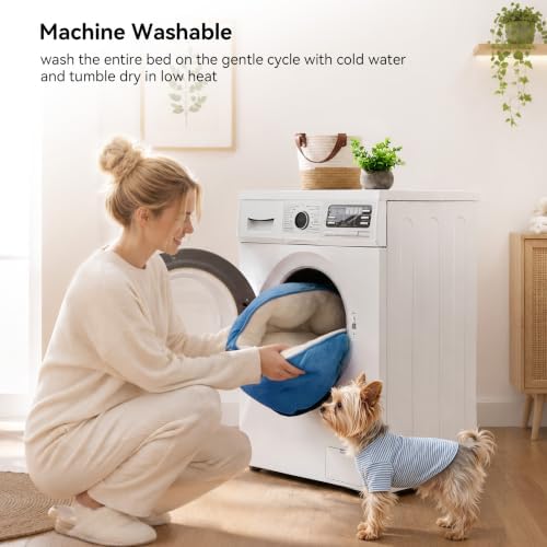 Asvin Small Dog Bed for Small Dogs, Cat Beds for Indoor Cats, Pet Bed for Puppy - Image 5