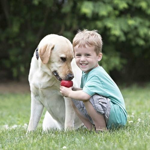 KONG Classic Stuffable Toy, Natural Rubber, Extra Large Dogs - Image 3