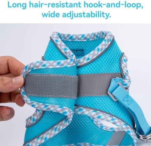 Petank Step in Dog Harness No Pull and Leash - Image 5