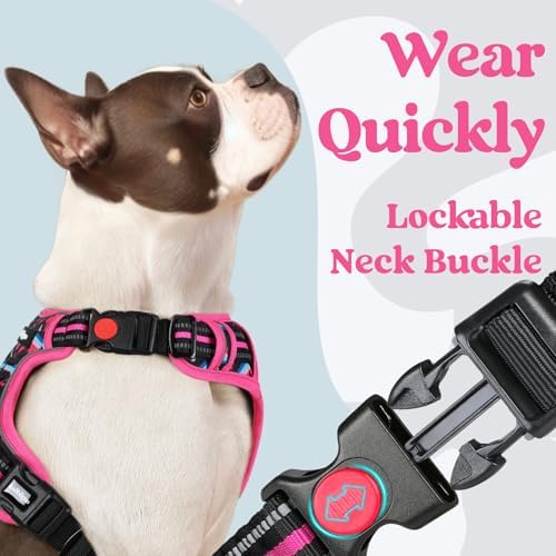rabbitgoo Dog Harness Medium Sized, Updated Easy On & Off - Image 3