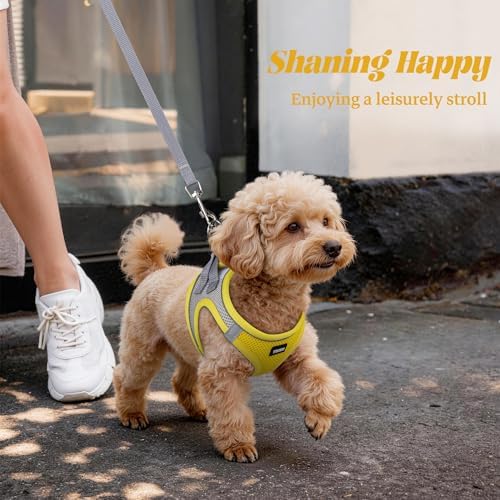 No Pull Dog Puppy Harness and Leash Set Reflective Mesh Vest Large - Image 6