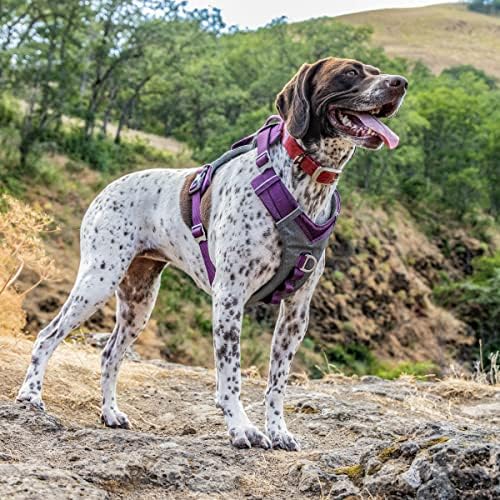 Kurgo Journey Air Dog Harness, Extra Large - Image 5