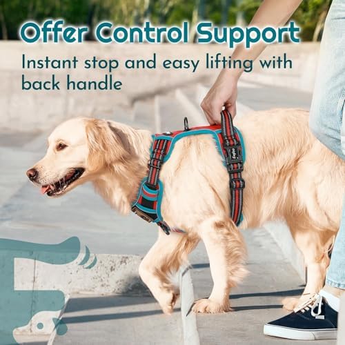 Eagloo Dog Harness No Pull for Small Dogs, Easy On & Off - Image 5
