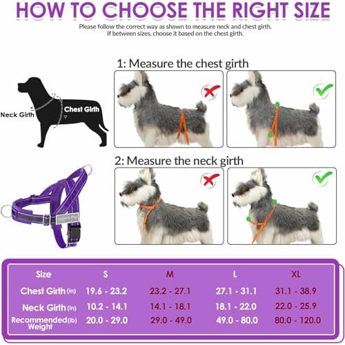 Lukovee No Pull Dog Harness and Leash Set, Soft Padded - Image 5