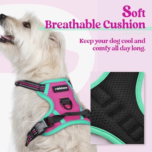 rabbitgoo Dog Harness, No Pull for Small Dogs - Image 2