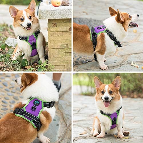PHOEPET No Pull Dog Harnesses for Small Dogs Reflective Adjustable - Image 7