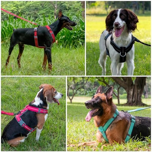 Plutus Pet No Pull Dog Harness, Adjustable Nylon Harness - Image 6