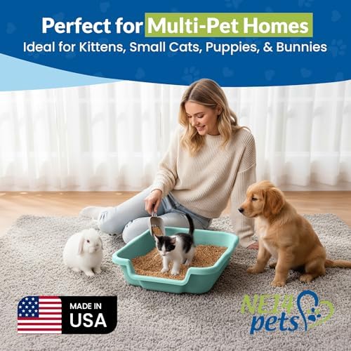 KittyGoHere Senior Cat Litter Box, Small Litter Pan, Apple Green - Image 3