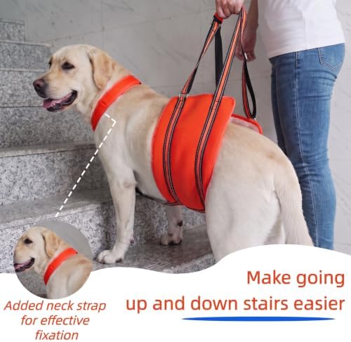 PAWsay Adjustable Dog Sling for Large Dogs Hind Leg Support - Image 2