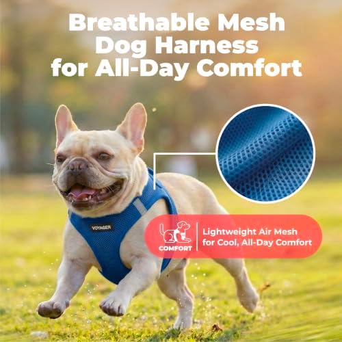 Voyager Step-in Air Dog Vest Harness - Image 5