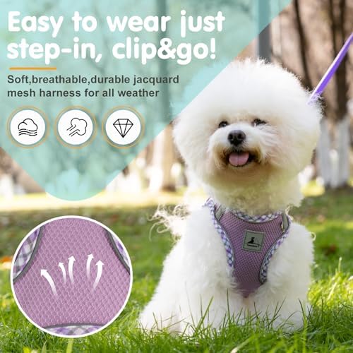 Dog Harness & Leash Set - Image 2