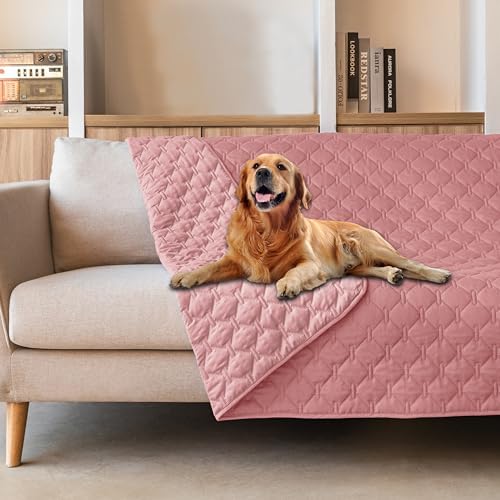 gogobunny Waterproof Pet Blanket by gogobunny