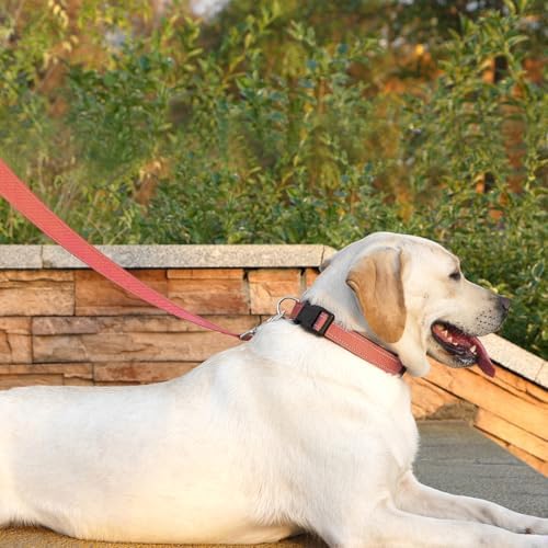 6 FT Basic Dog Leash for Large Dogs - Image 2