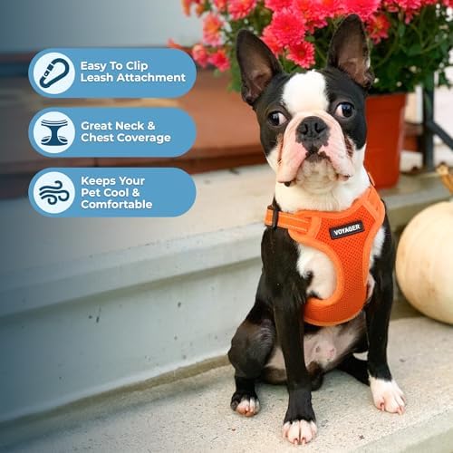 Voyager Step-in Flex Adjustable Dog Harness - Image 5