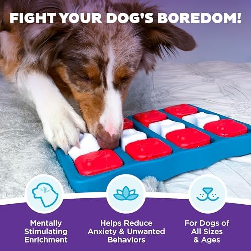 Outward Hound Nina Ottosson Dog Brick Dog Toy Treat Puzzle - Image 2
