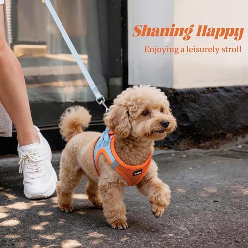 No Pull Dog Puppy Harness and Leash Set Reflective Mesh Vest Large - Image 6