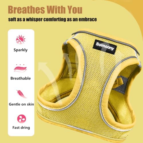 Solmoony Sparkly XXXS Dog Harness and Leash Set, Step in Soft Light Puppy Vest - Image 4