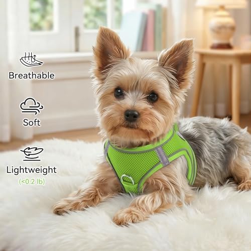 Joytale Step-in Dog Harness, Soft Breathable Mesh - Image 4