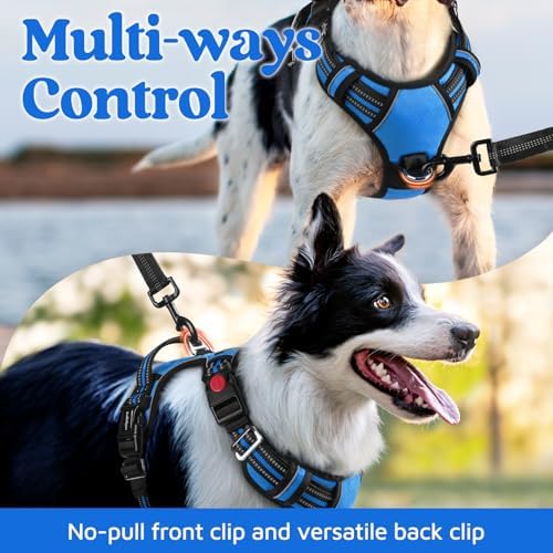 rabbitgoo Dog Harness Medium Sized, No Pull 3 Buckles Easy On & Off - Image 3