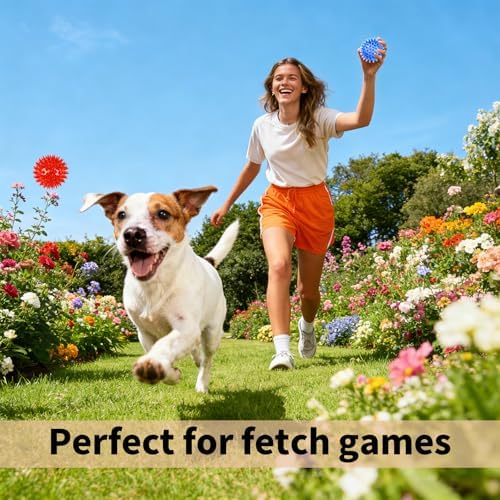 6 Pack Squeaky Spiky Dog Balls, Puppy Chew Toys - Image 5