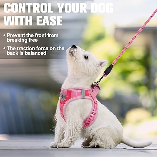 BEAUTYZOO Small Dog Harness and Leash Set, Step in No Choke No Pull Soft Mesh - Image 6