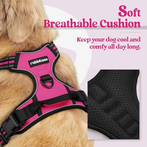 rabbitgoo Dog Harness, No Pull for Small Dogs - Image 2
