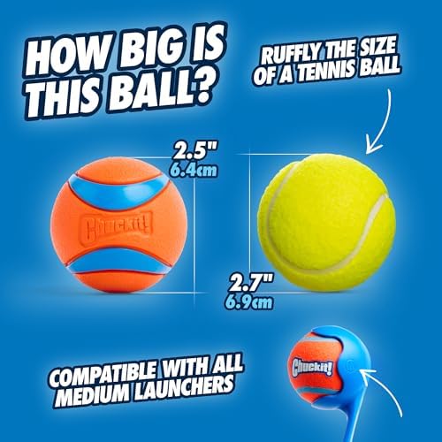 Chuckit! Ultra Ball Dog Toy, Durable Rubber, Medium 2.5in, 4 Pack - Image 2