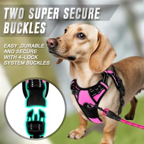 BARKBAY Dog Harness No Pull for Small Sized Dog Front Back Clips, Dog Vest - Image 4