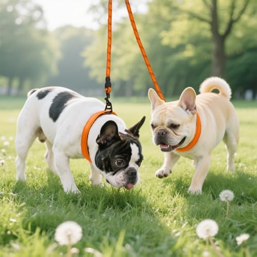 Taglory Double Dog Leash Coupler - Image 6
