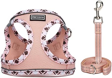 Mercano Soft Mesh Dog Harness and Leash Set, Step-in Reflective Breathable - Image 2