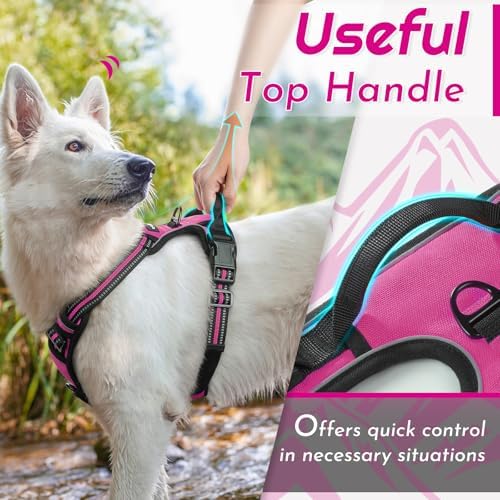 Eagloo Dog Harness for Large Dogs, No Pull Pet Vest - Image 4