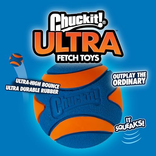 Chuckit! Ultra Squeaker Fetch Balls - Image 4