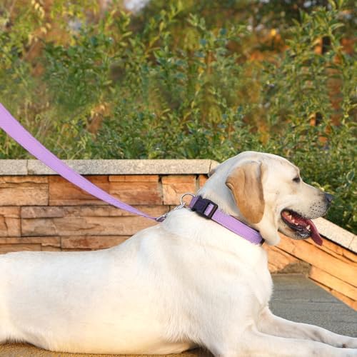 6 FT Basic Dog Leash for Medium Dogs - Image 2