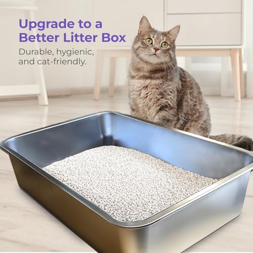 iPrimio Stainless Steel Cat Litter Box, XL 23.5" x 15.5" Open Pan - Image 2