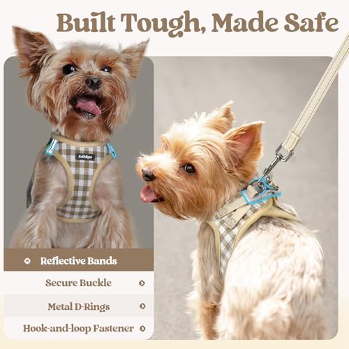 rabbitgoo Dog Harness Small Sized and Leash Set, Step-in Puppy Pet Vest - Image 5