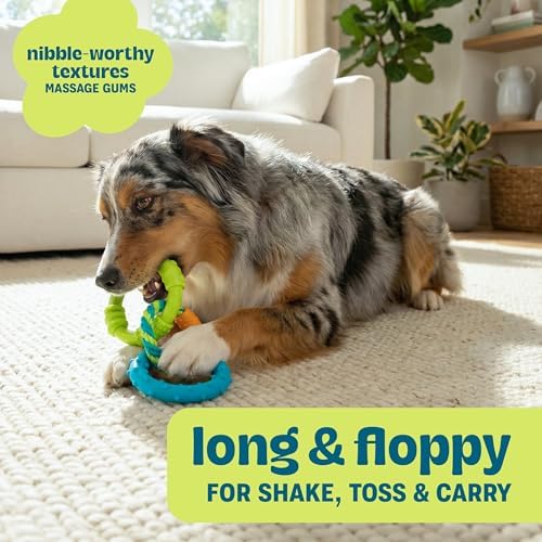 Pupstages Dental Links Dog Chew Toy, Textured Rings & Woven Rope - Image 4