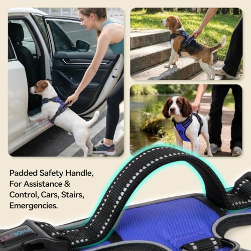 PHOEPET No Pull Dog Harnesses for Small Puppies Reflective Adjustable Front - Image 4