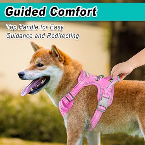 BARKBAY Dog Harness for Medium Sized Dog No Pull Mesh 2 Clips Dog Vest - Image 4