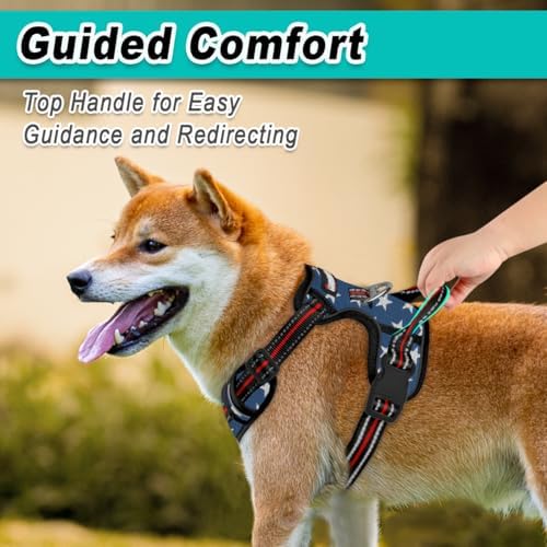 BARKBAY Dog Harness for Medium Sized Dog No Pull Mesh 2 Clips Dog Vest - Image 4