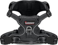 BARKBAY Dog Harness for Small Sized Dog No Pull Mesh 2 Clips Dog Vest by BARKBAY