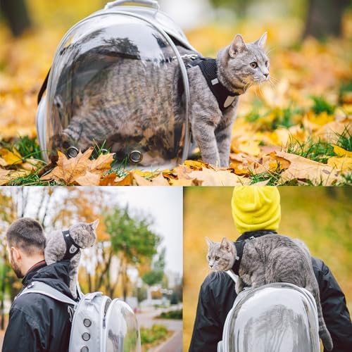 Cat Backpack Carrier, Pet Cat Carrier - Image 6