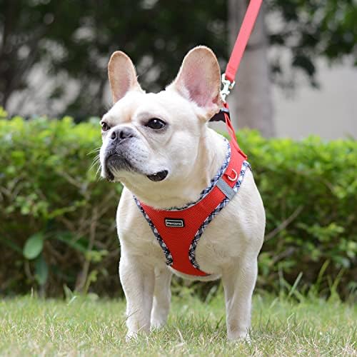 Mercano Soft Mesh Dog Harness and Leash Set, Step-in Reflective Breathable - Image 4